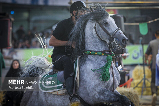 درخشش اسبهای بیرجند در رقابتهای اسبدوانی گنبدکاووس درخشش اسبهای بیرجند در رقابتهای اسبدوانی گنبدکاووس