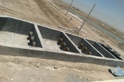 وضعیت اجرای طرح‌های پرورش میگو در بوشهر رصد می‌شود