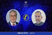Iran interim FM consults on Palestine with Pak FM