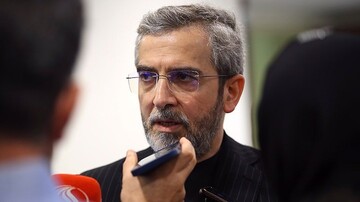 برکس میں ایران کی رکنیت شہید صدر رئیسی اور شہید عبداللہیان کی مرہون منت ہے، علی باقری