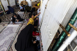 فقط ۱۸۵ هزار بافنده از ۲ میلیون نفر تکلیف قانونی، بیمه هستند