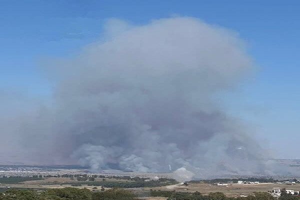 Israeli regime attacks south Lebanon with drone