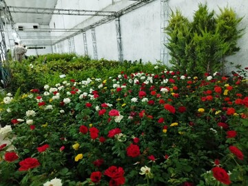نمایشگاه گل و گیاه در سنندج برپا شد