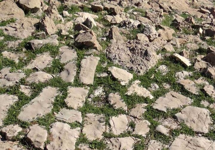جاده ادویه، ابتکاری در روابط گردشگری ایران و هند 2