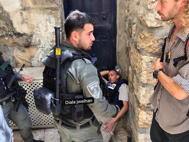 ذخیره بر باد رفته؛گاو مقدس چگونه جامعه صهیونیستی را نابود میکند؟