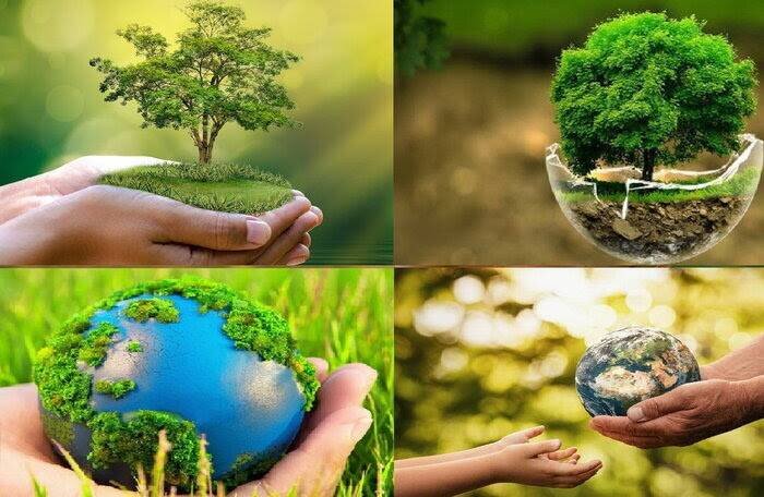 World Environment Day; harmony with nature