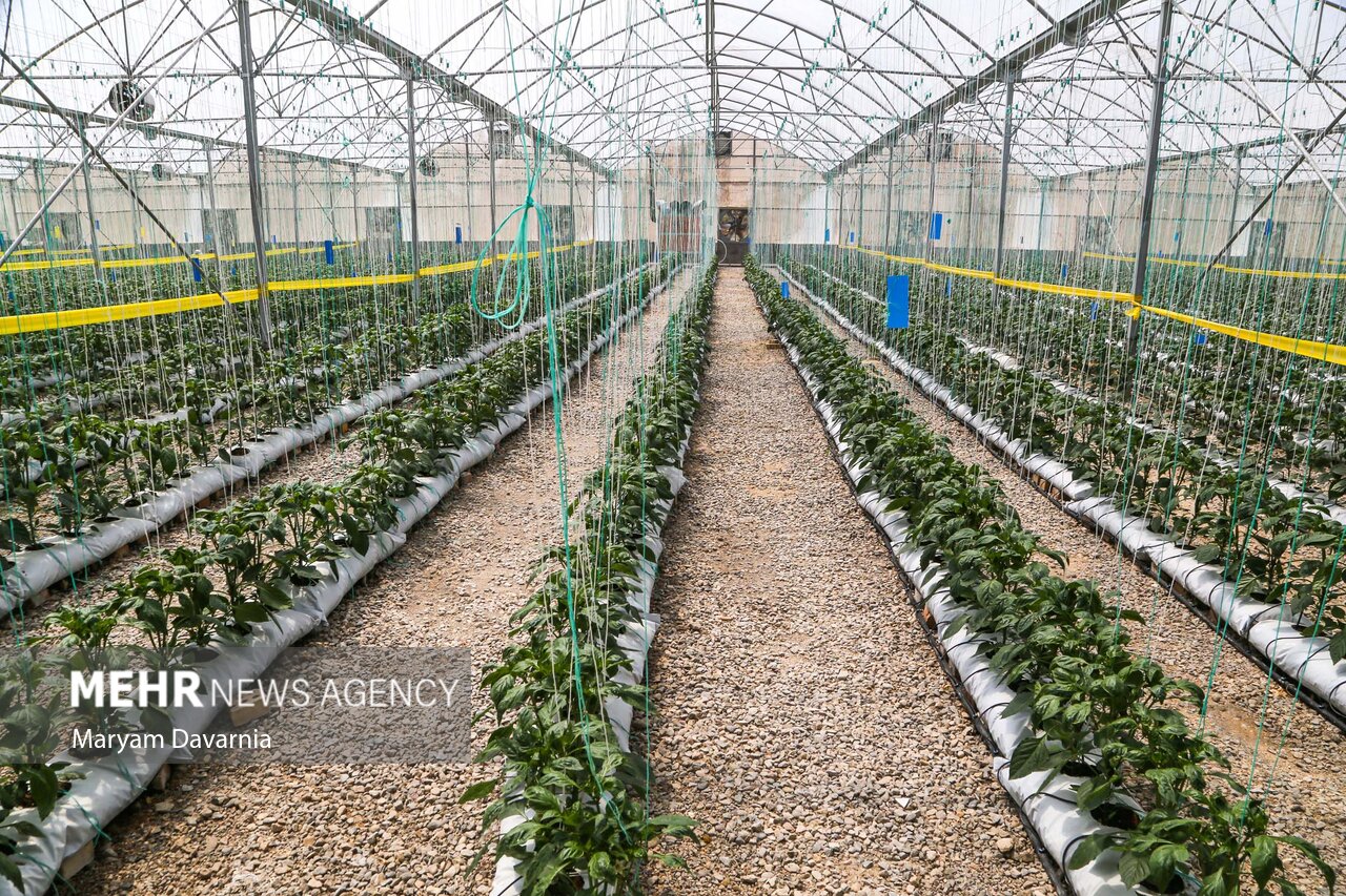 در سفر وزیر کشور به خراسان شمالی چه گذشت/ تاکید بر پیشرفت