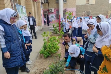 ایجاد ۳۴۰۰ نهالستان در مدارس؛ جلوه دیگری از اجرای سند تحول