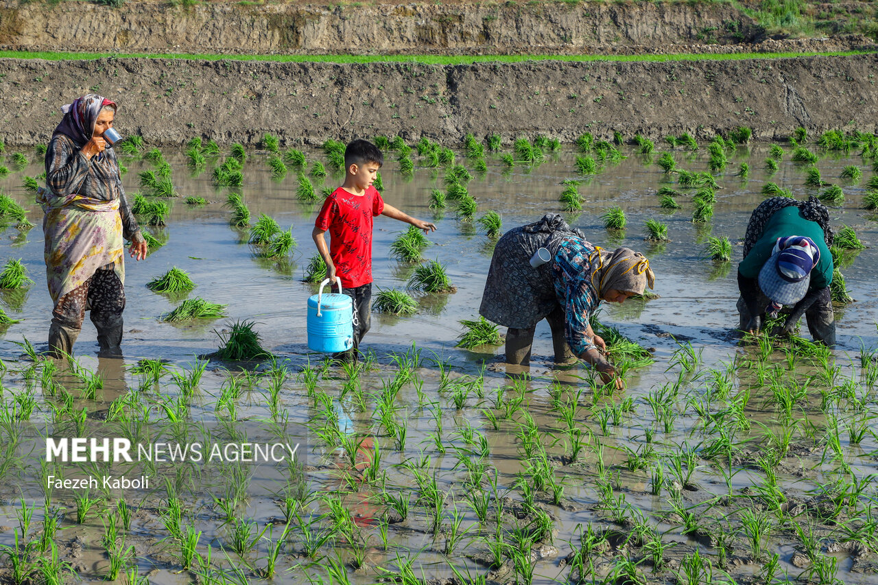 سهگانه اشتغال، محیط زیست و گردشگری مطالبه گیلانیها از استاندار