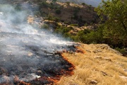 تصاویری از آتش سوزی گسترده در جنگل های زرنه ایوان