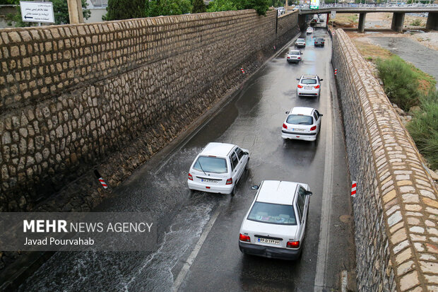 بارش باران در شیراز