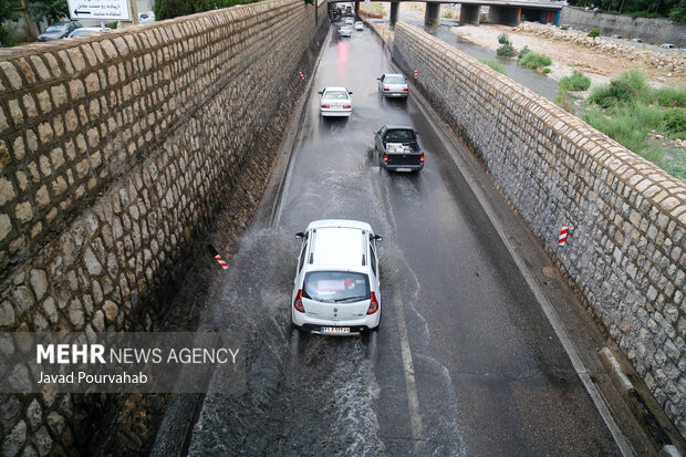 بارش باران در شیراز