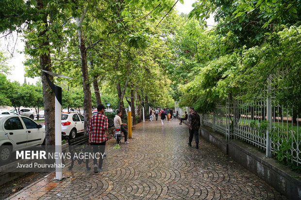 بارش باران زنجان را فرا می گیرد