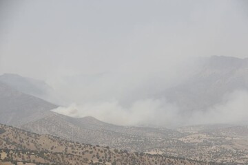 آتش‌سوزی در جنگل‌های منطقه «مپل»