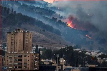 وحشت از «رضوان»؛ چرا در شهرک‌های شمالی اشغالی پرنده پر نمی‌زند؟