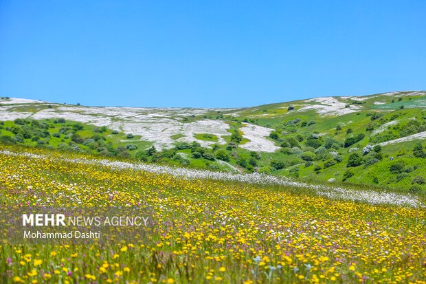 غابة فندغلو الرائعة في اردبيل