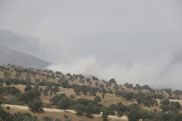 تصاویر هوایی از آتش سوزی جنگل های شهرستان ایوان