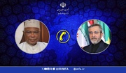 Iran diplomat urges Muslims to counter Israel regime crimes