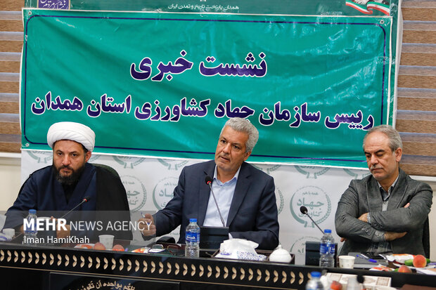 در افق ۱۴۱۰ تولیدات زراعی استان همدان به ۶ تن خواهد رسید