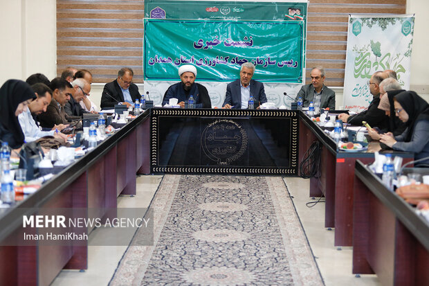 در افق ۱۴۱۰ تولیدات زراعی استان همدان به ۶ تن خواهد رسید