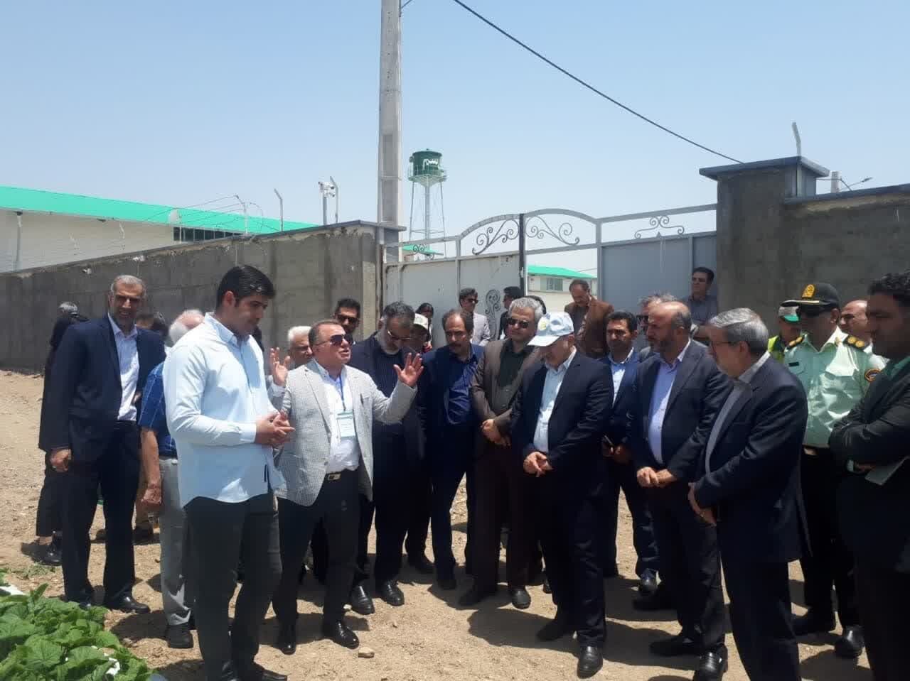 افتتاح ۵۱ طرح تولیدی کشاورزی در استان قزوین