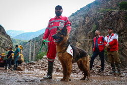 در جستجوی گمشدگان سیلاب کندوان