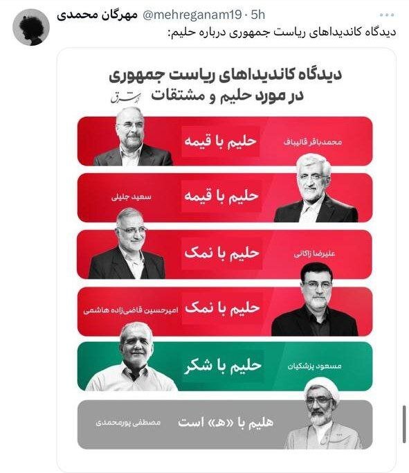 نامزدهای ریاست جمهوری درباره «سوپ» و «همستر» چه می‌گویند؟