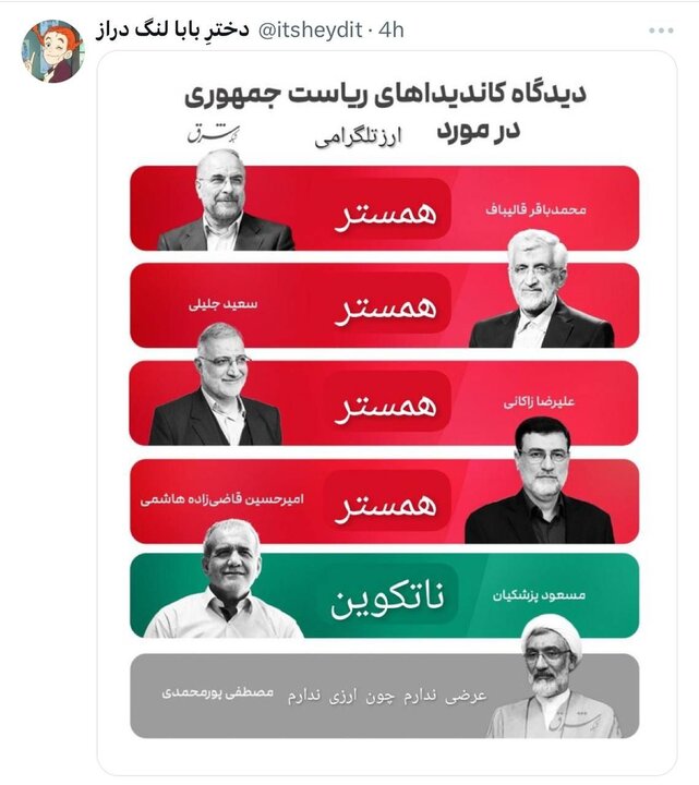 نامزدهای ریاست جمهوری درباره «سوپ» و «همستر» چه می‌گویند؟