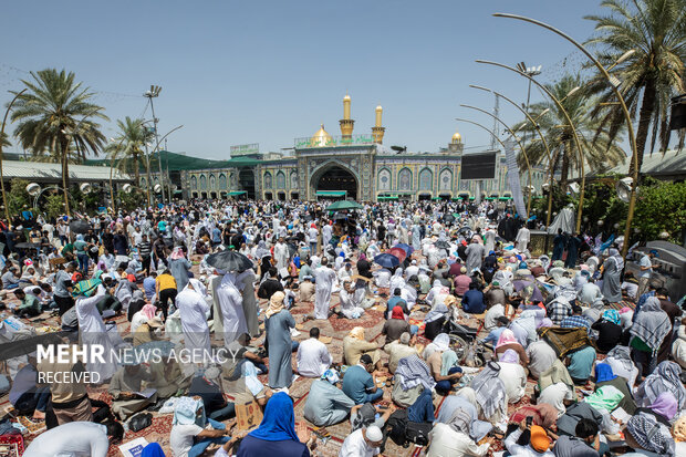 عرفه؛ نجوای دلدادگی در میقات نیایش