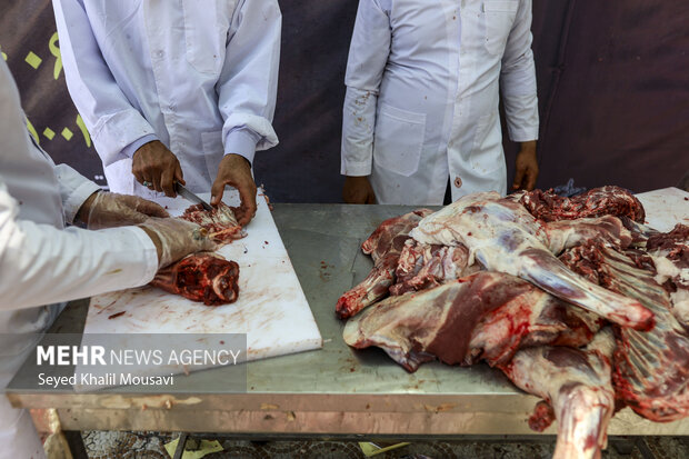 طرح نظارتی دامپزشکی در ایام عاشورا و تاسوعا در البرز اجرا میشود