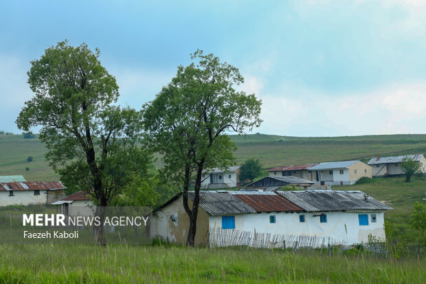 بهشت نگارستان ایران