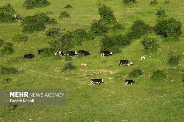 بهشت نگارستان ایران