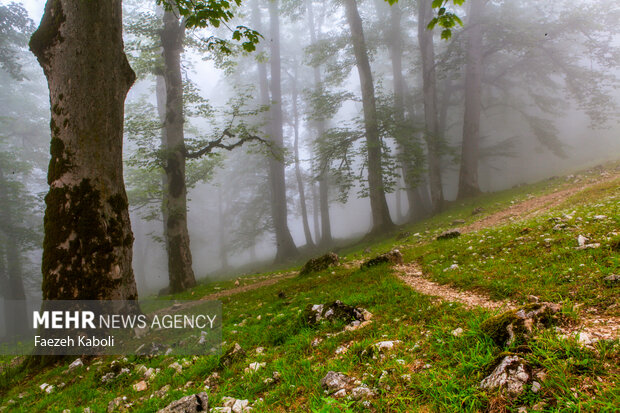 بهشت نگارستان ایران