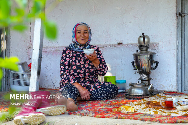 بهشت نگارستان ایران