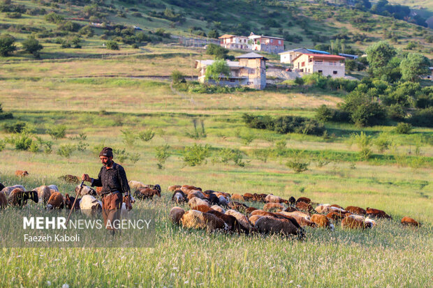 بهشت نگارستان ایران