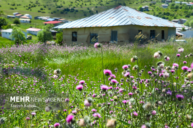 بهشت نگارستان ایران
