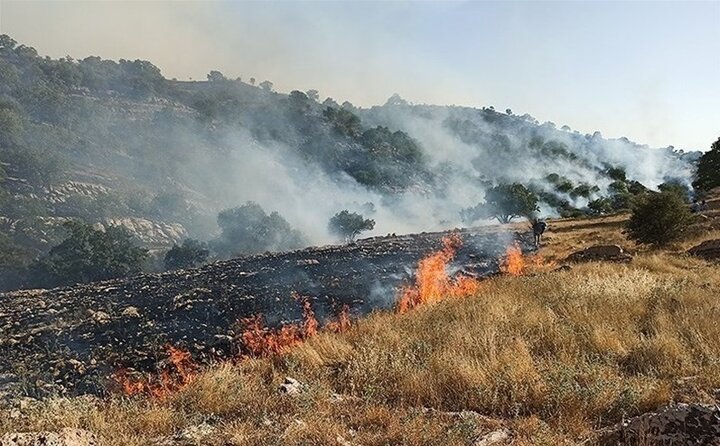 آتشسوزی در جنگلهای فلات شهرستان سرچهان مهار شد آتشسوزی در جنگلهای فلات شهرستان سرچهان مهار شد