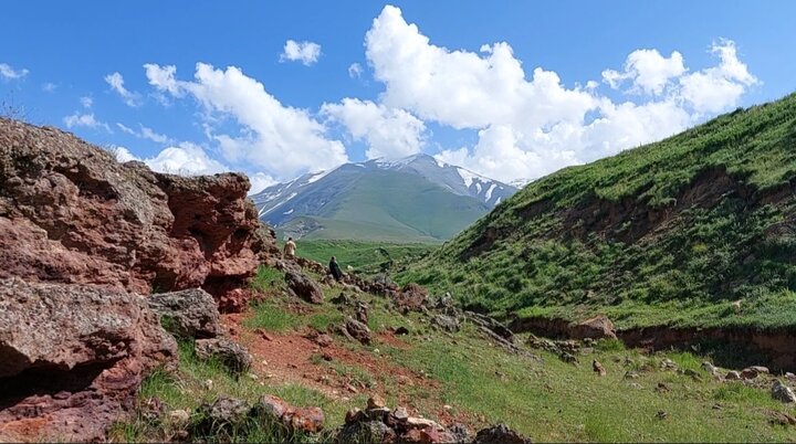 امیدوارم کاندیداهای ریاست جمهوری به موضوع گردشگری بپردازند
