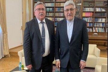 محورهای دیدار «اولیانوف» با نماینده ایران در آژانس بین‌المللی انرژی اتمی