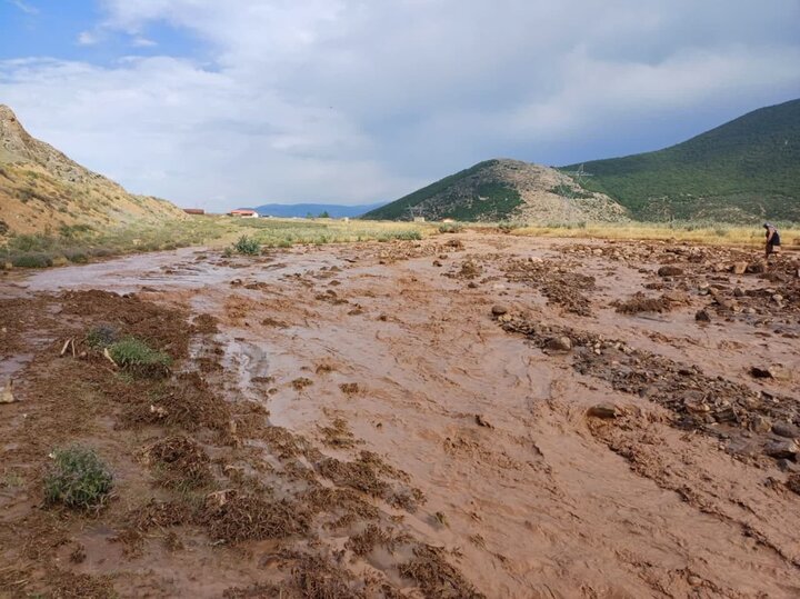 سیل گردی در مازندران از غرب تا شرق/ مزارع و دامها زیر آب