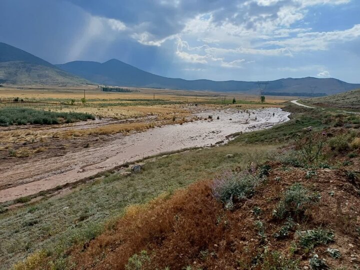 سیل گردی در مازندران از غرب تا شرق/ مزارع و دامها زیر آب