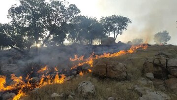  آتش‌سوزی در ۲ نقطه از جنگل‌های پلدختر مهار شد/ انجام ۲۰ سورتی پرواز