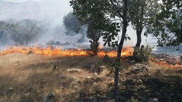 آتش‌سوزی جنگل‌های پلدختر هنوز مهار نشده است/ انجام ۱۶ سورتی پرواز برای اطفای حریق