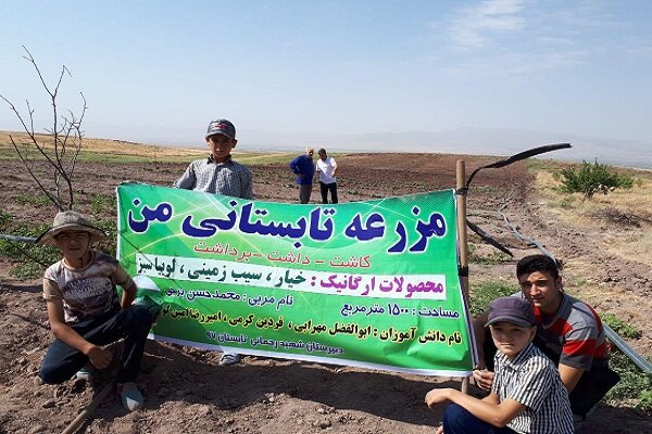 فعالیتهای تابستانه مدارس  آغاز میشود