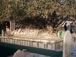 نام حیدر خواهی آزادی طلب چون مصطفی