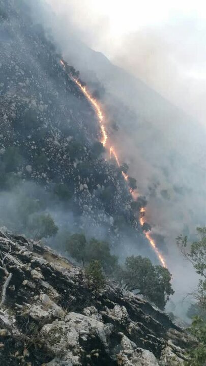 تلاش برای مهار آتش‌سوزی جنگل‌های پلدختر ادامه خواهد داشت