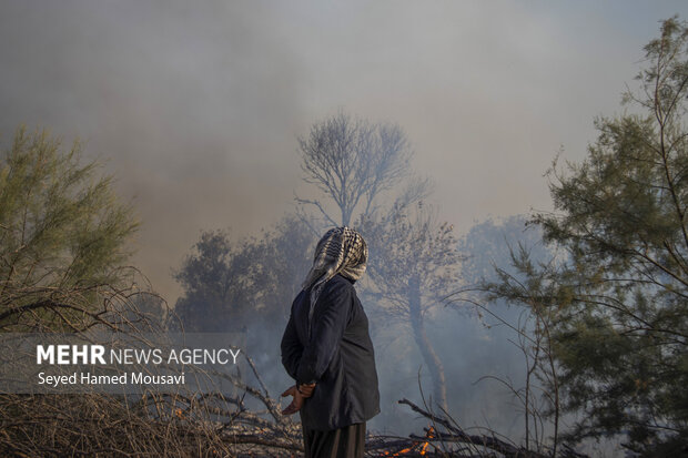 آتش‌سوزی در پاک ملی کرخه