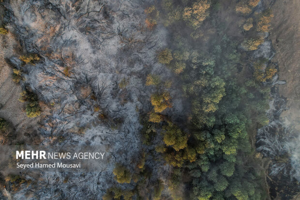 تکرار آتش سوزی در پارک ملی کرخه