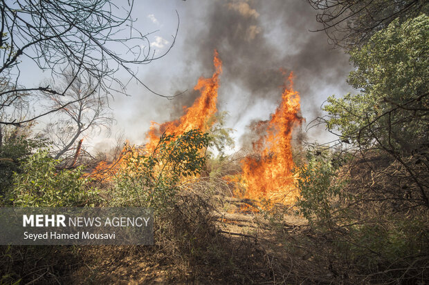 آتش‌سوزی در پاک ملی کرخه