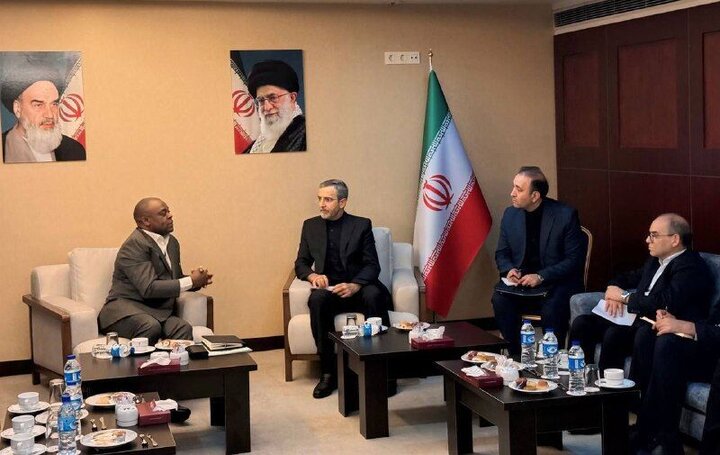 Iran underlines D-8's active, innovative role